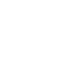 Duel icon