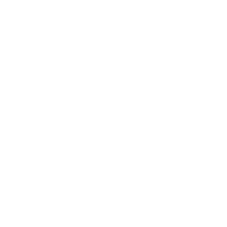 Main icon