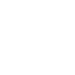 Shop icon